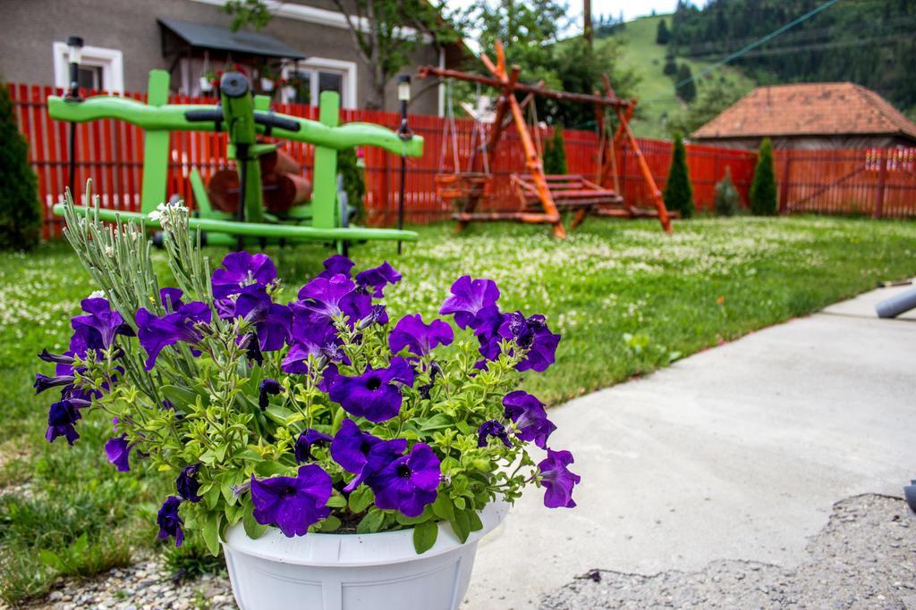 Picnic Panzio Bed & Breakfast Lunca de Sus ภายนอก รูปภาพ