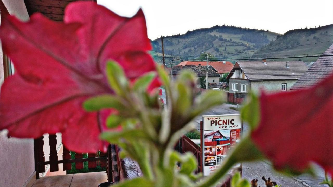 Picnic Panzio Bed & Breakfast Lunca de Sus ภายนอก รูปภาพ